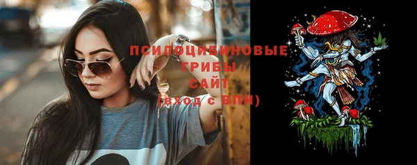 гидра Бронницы