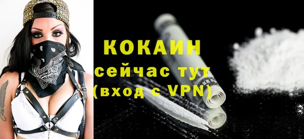 гидра Бронницы