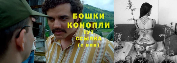 гидра Бронницы
