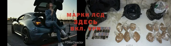 гидра Бронницы