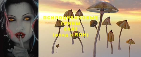 гидра Бронницы