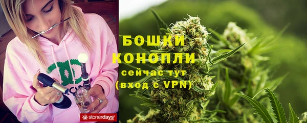 a pvp Бородино