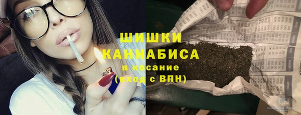 a pvp Бородино